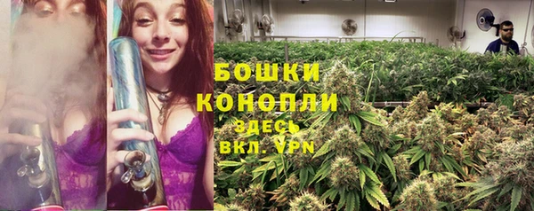 ГАЛЛЮЦИНОГЕННЫЕ ГРИБЫ Тихорецк