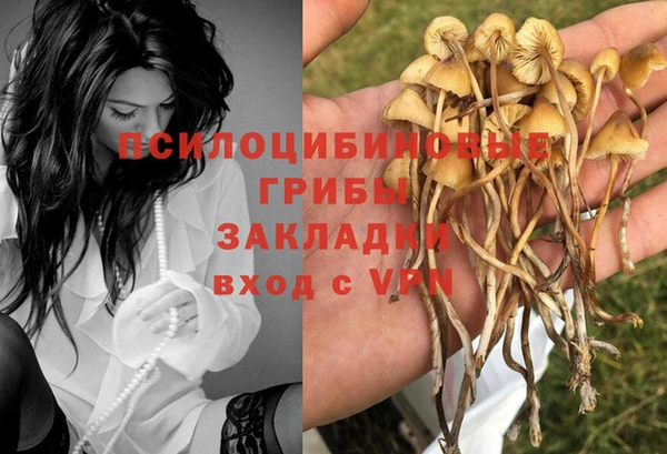 первитин Тобольск