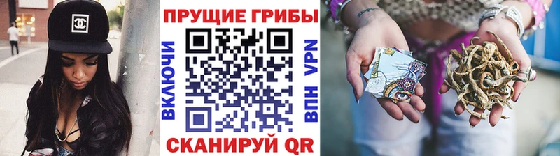 Псилоцибиновые грибы Cubensis Черемхово